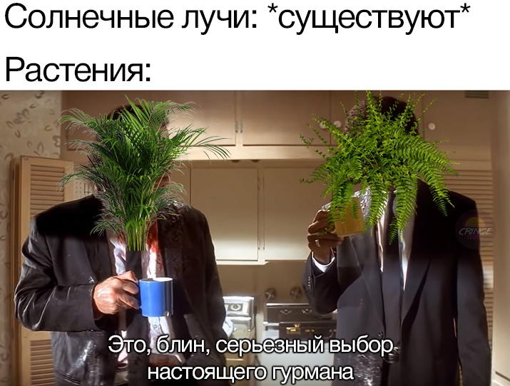 Это выбор настоящего гурмана