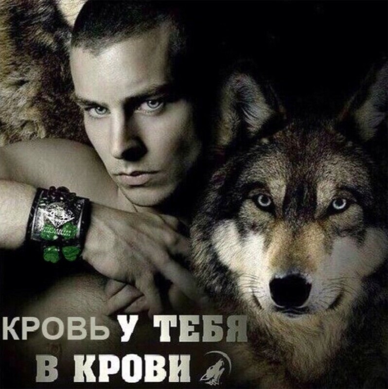 Волки с цитатами мем