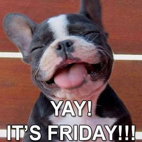 Friday memes