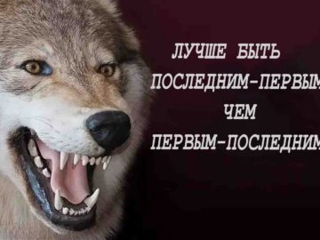 Волки с цитатами мем