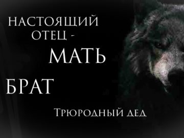 Волки с цитатами мем
