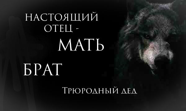 Волки с цитатами мем