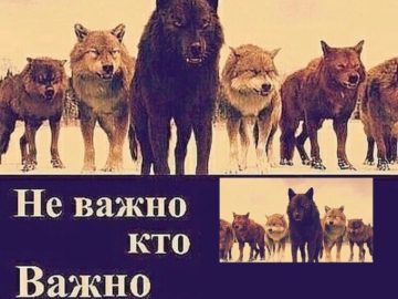 Мем неважно кто напротив тебя