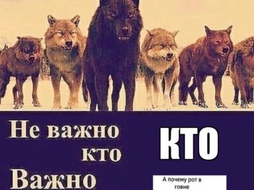 Мем неважно кто напротив тебя