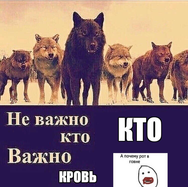 Мем неважно кто напротив тебя