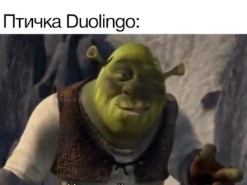Хороший вопрос