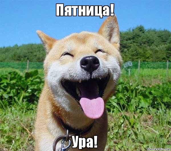 пятница мем Мемы про пятницу