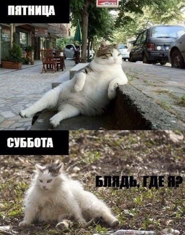 пятница мем Мемы про пятницу