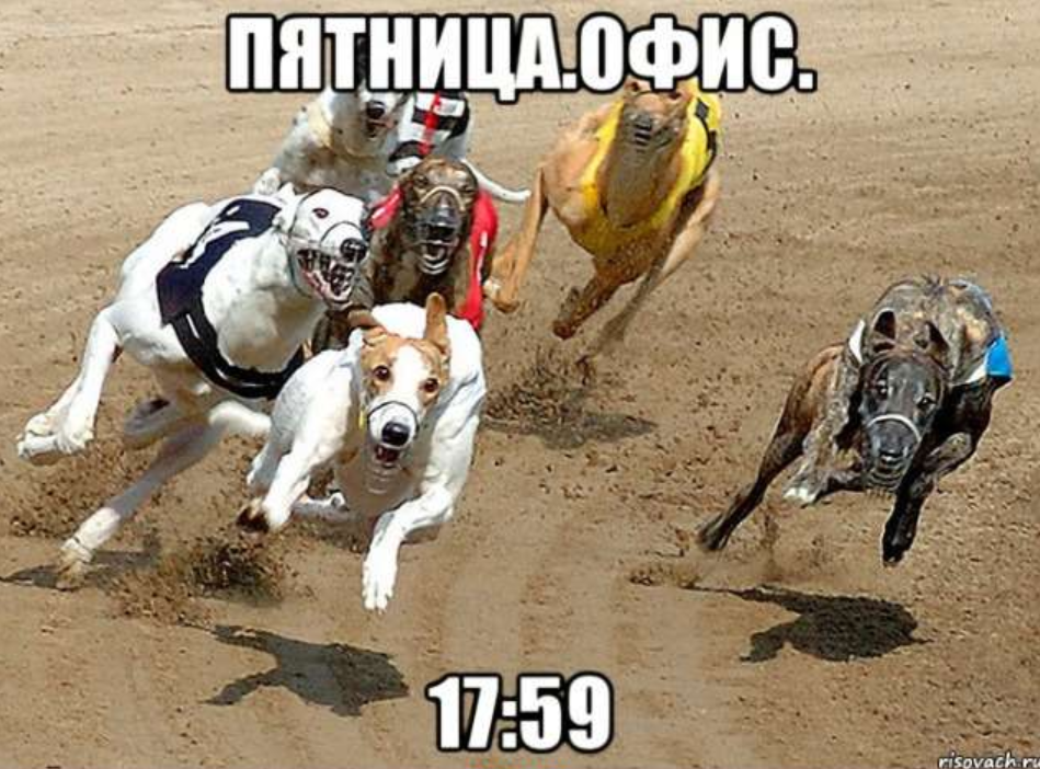 пятница офис мем Мемы про пятницу