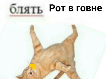 Рот в говне