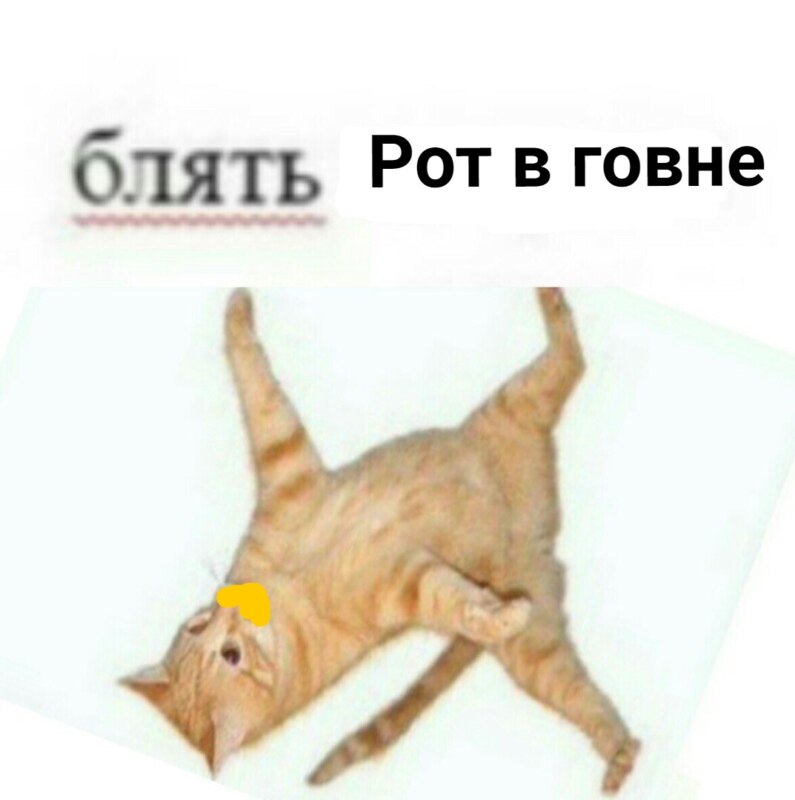 Рот в говне