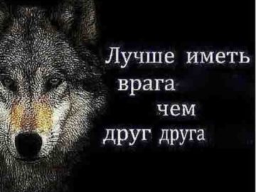 Волки с цитатами мем