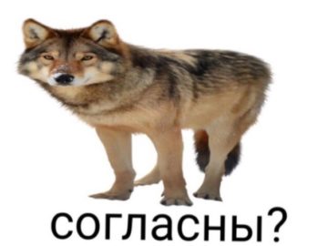Узнали согласны мем