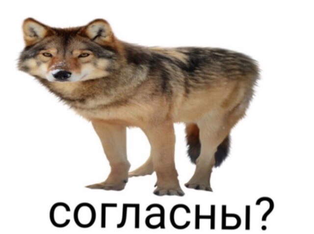 Узнали согласны мем