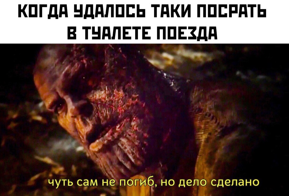 Чуть сам не погиб но дело сделано - мем с Таносом