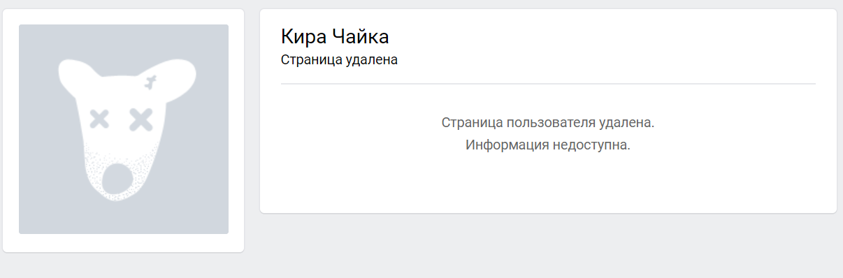 кира чайка кира чайка