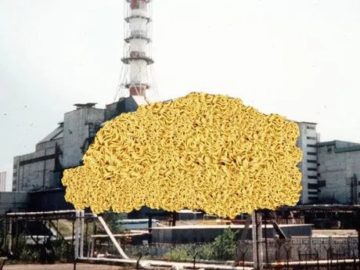 Что можно починить с помощью доширака