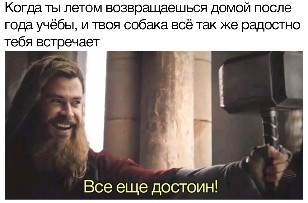 Все еще достоин - мем с Тором