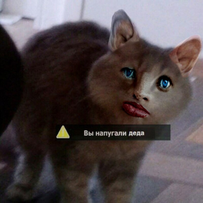 Вы напугали деда мем Вы напугали деда мем