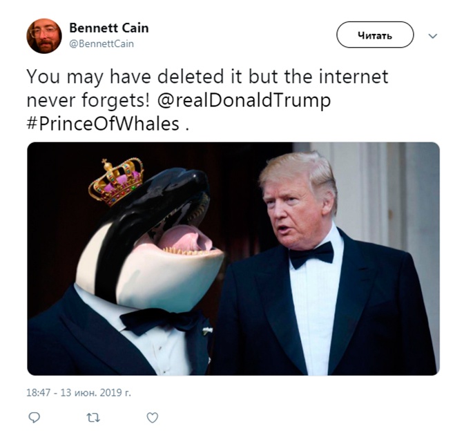 Трамп с принцем китов