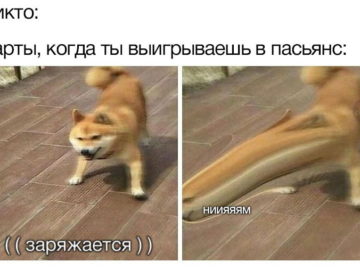 Карты, когда выигрываешь в "Косынку"