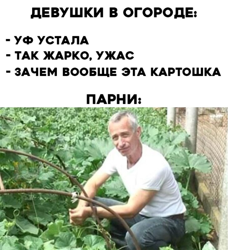 Девушки в огороде парни в огороде