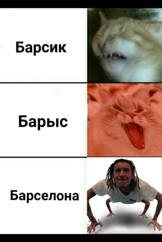 Мемы про Кизару в виде паука Мемы про Кизару в виде паука
