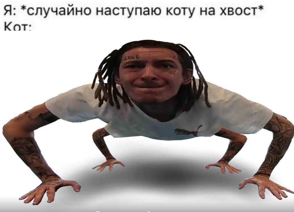 Мемы про Кизару в виде паука Мемы про Кизару в виде паука
