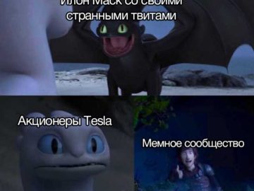 Toothless dragon and Light Fury memes