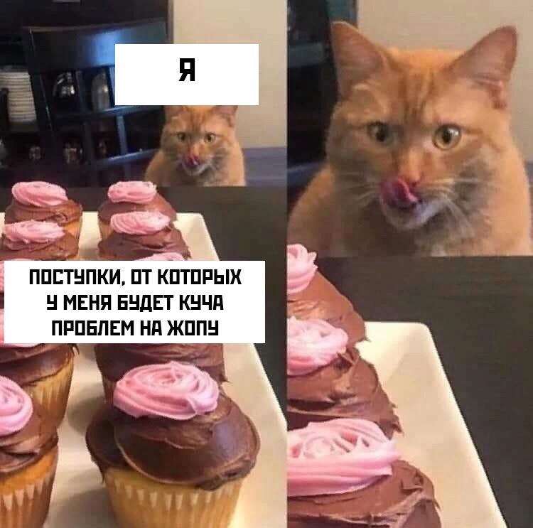 Кот сладкоежка