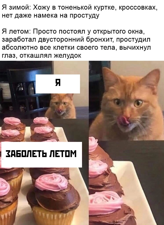Кот сладкоежка