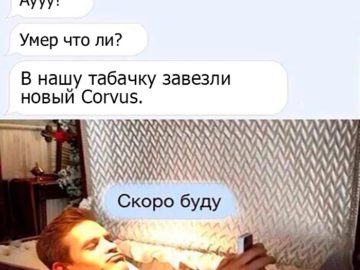 мемы про корвус и снюс