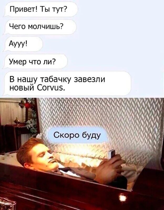 мемы про корвус и снюс