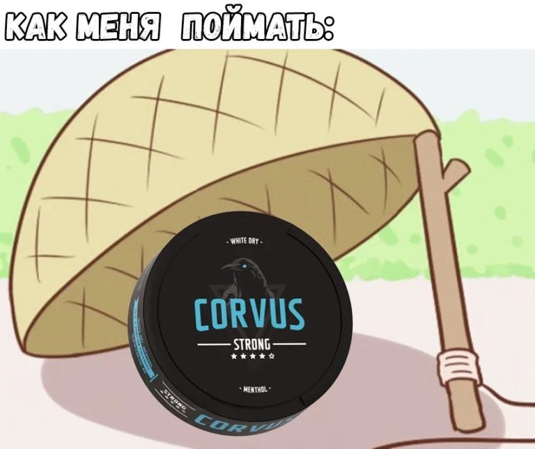 мемы про корвус и снюс