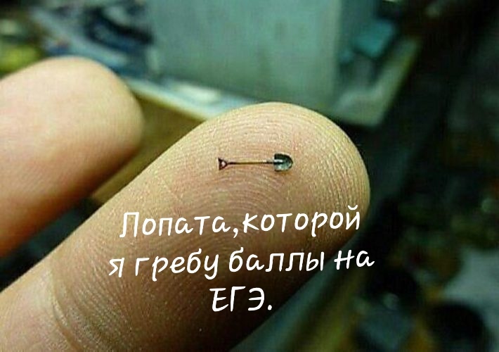Мемы про лопату ЕГЭ 2019 Мемы про лопату ЕГЭ 2019