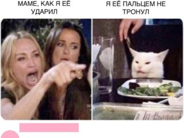 Озадаченный кот сидит за столом