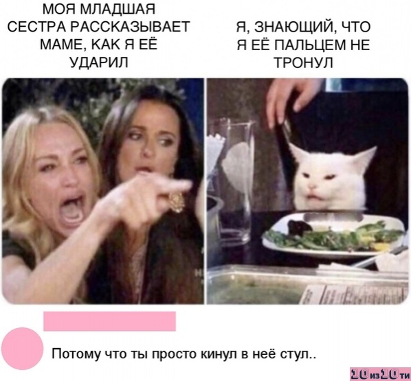 Озадаченный кот сидит за столом