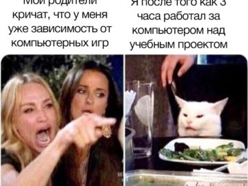 Озадаченный кот сидит за столом