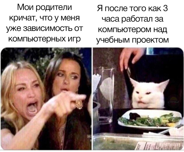 Озадаченный кот сидит за столом