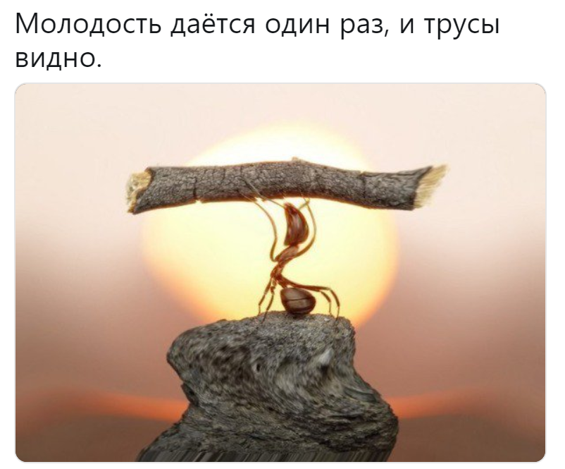 Тред пацанских цитат Тред пацанских цитат