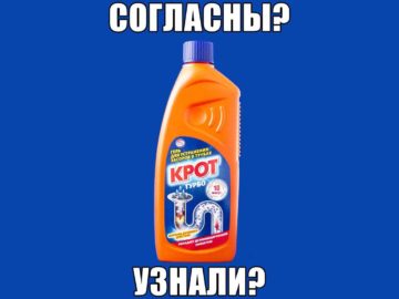 Крот