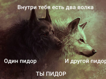 Внутри тебя есть два волка