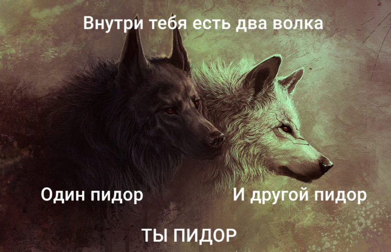 Внутри тебя есть два волка