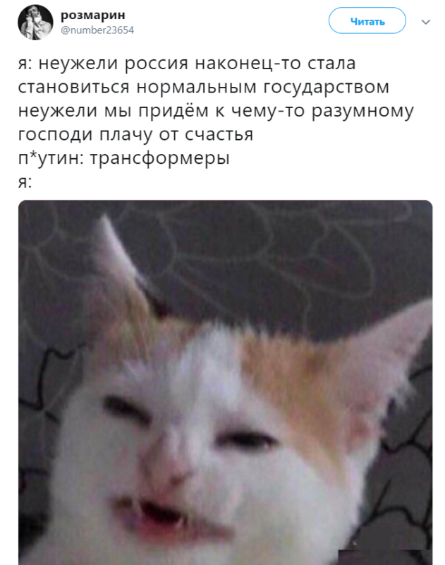 Путин трансформеры ЛГБТ