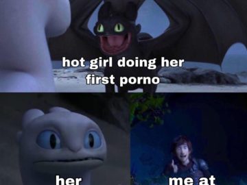 Toothless dragon and Light Fury memes