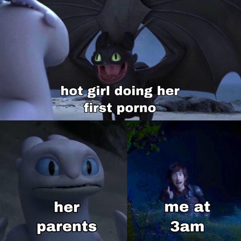 Toothless dragon and Light Fury memes