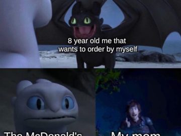 Toothless dragon and Light Fury memes