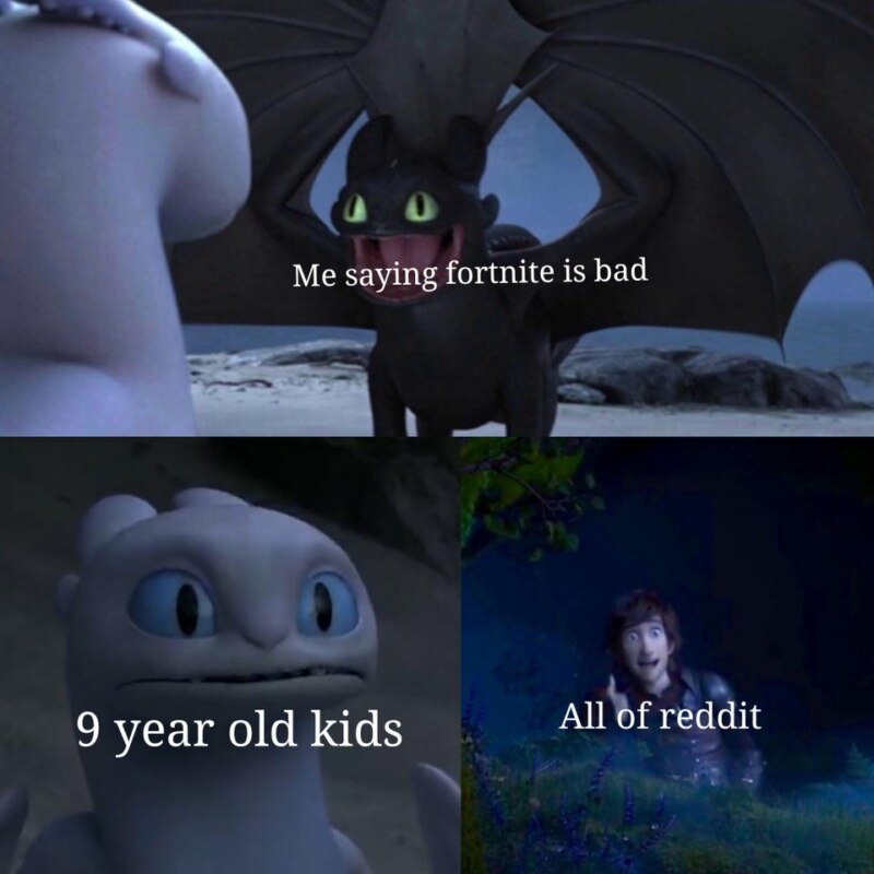 Toothless dragon and Light Fury memes