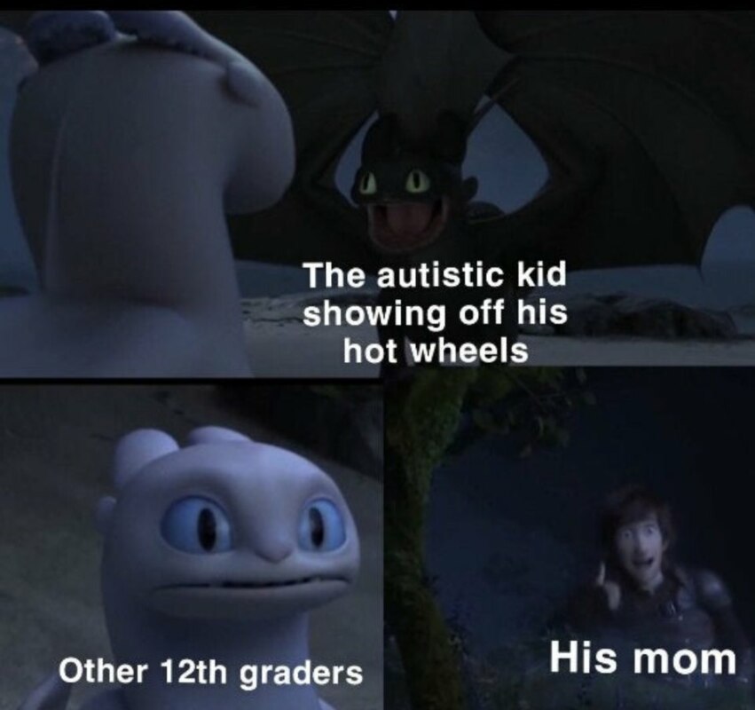 Toothless dragon and Light Fury memes