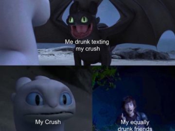 Toothless dragon and Light Fury memes